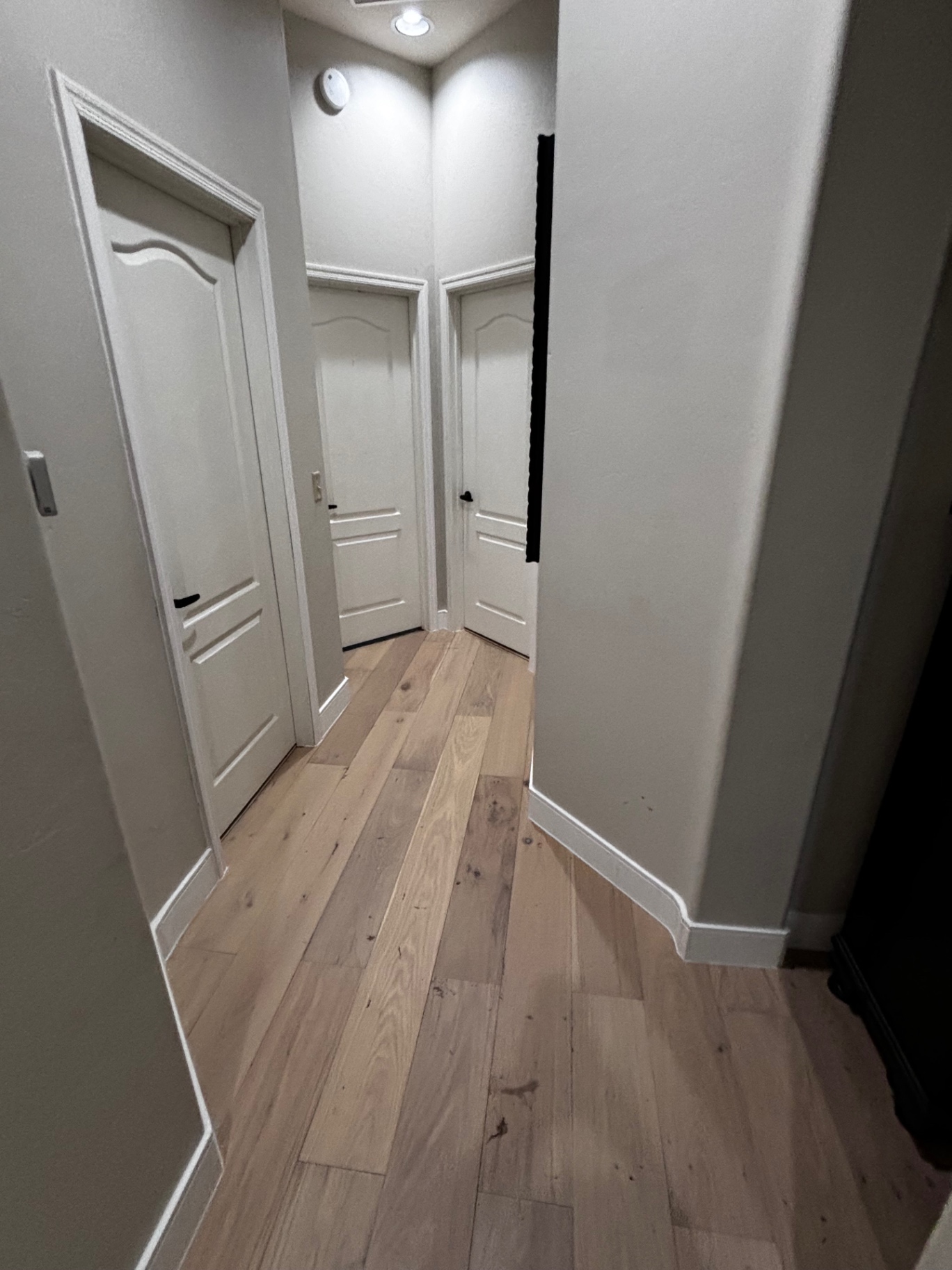 Finished hardwood in narrow hallway with doors